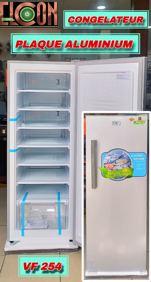 Elcon congelateur debout 254